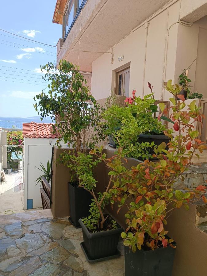 Buganvilla Sea View Apts Agia Pelagia Eksteriør billede